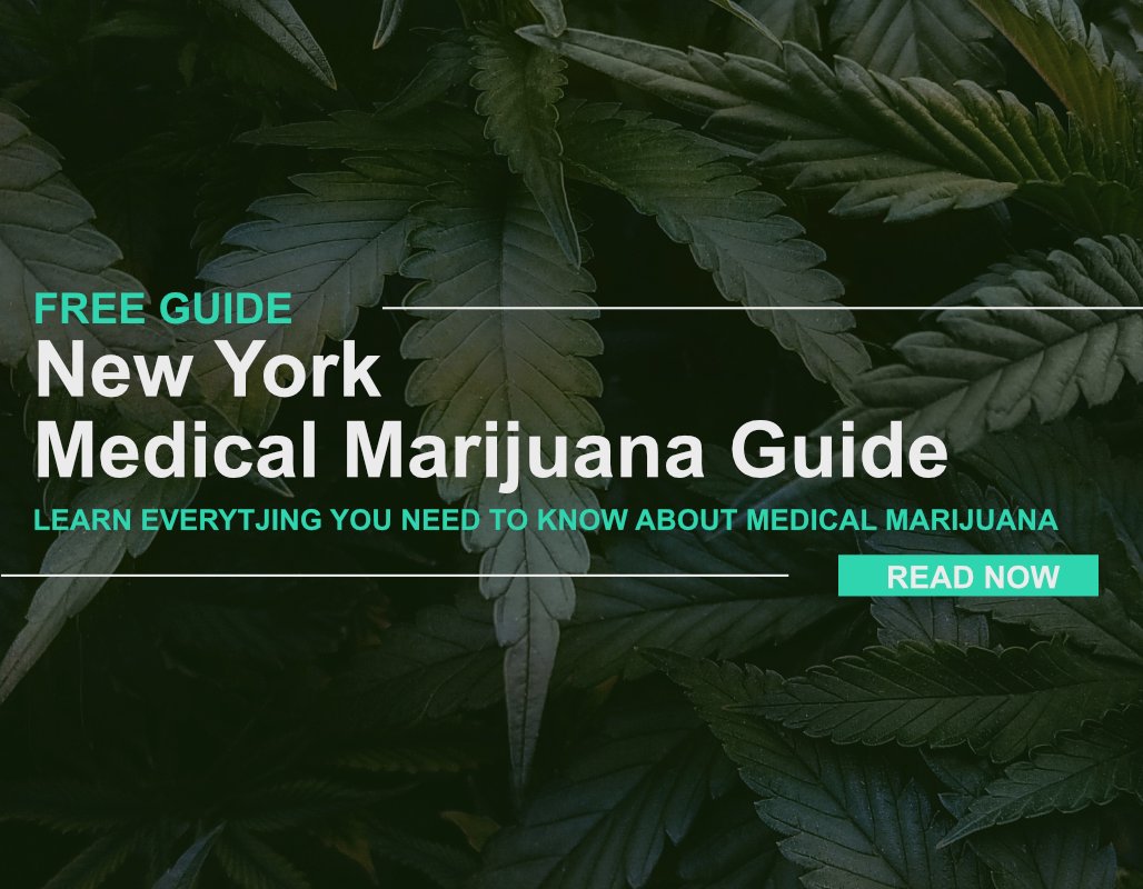 New York Medical Marijuana Guide Cannabis Law Report