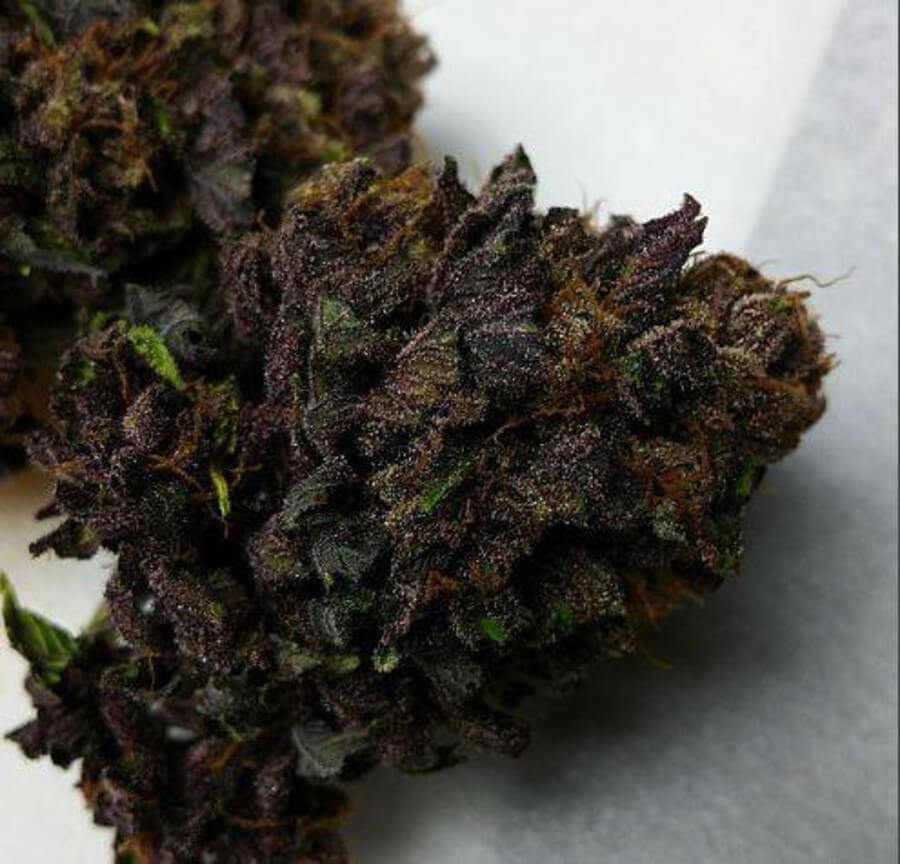 Vietnamese Black Marijuana Strain UK Marijuana For Sales Online UK