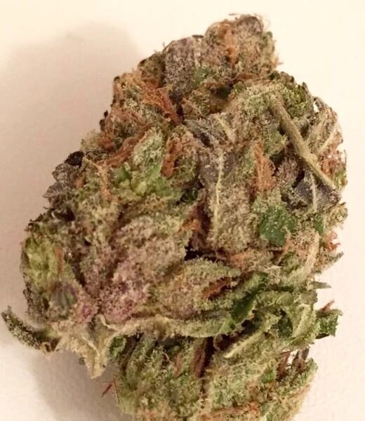 Tyson Cannabis Strain Buy Cannabis Online UK Cannabis Pharm UK