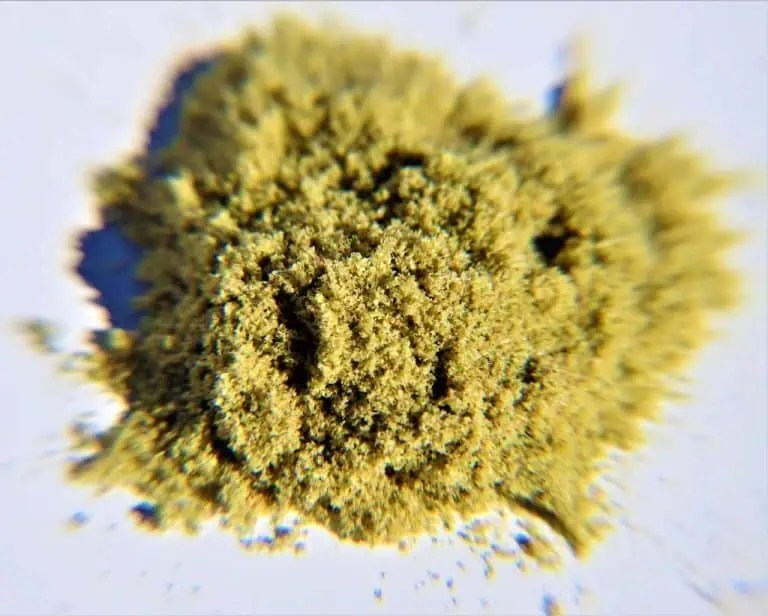 Pollen Press How to Use & Make Hash at Home Cannabis Sensei