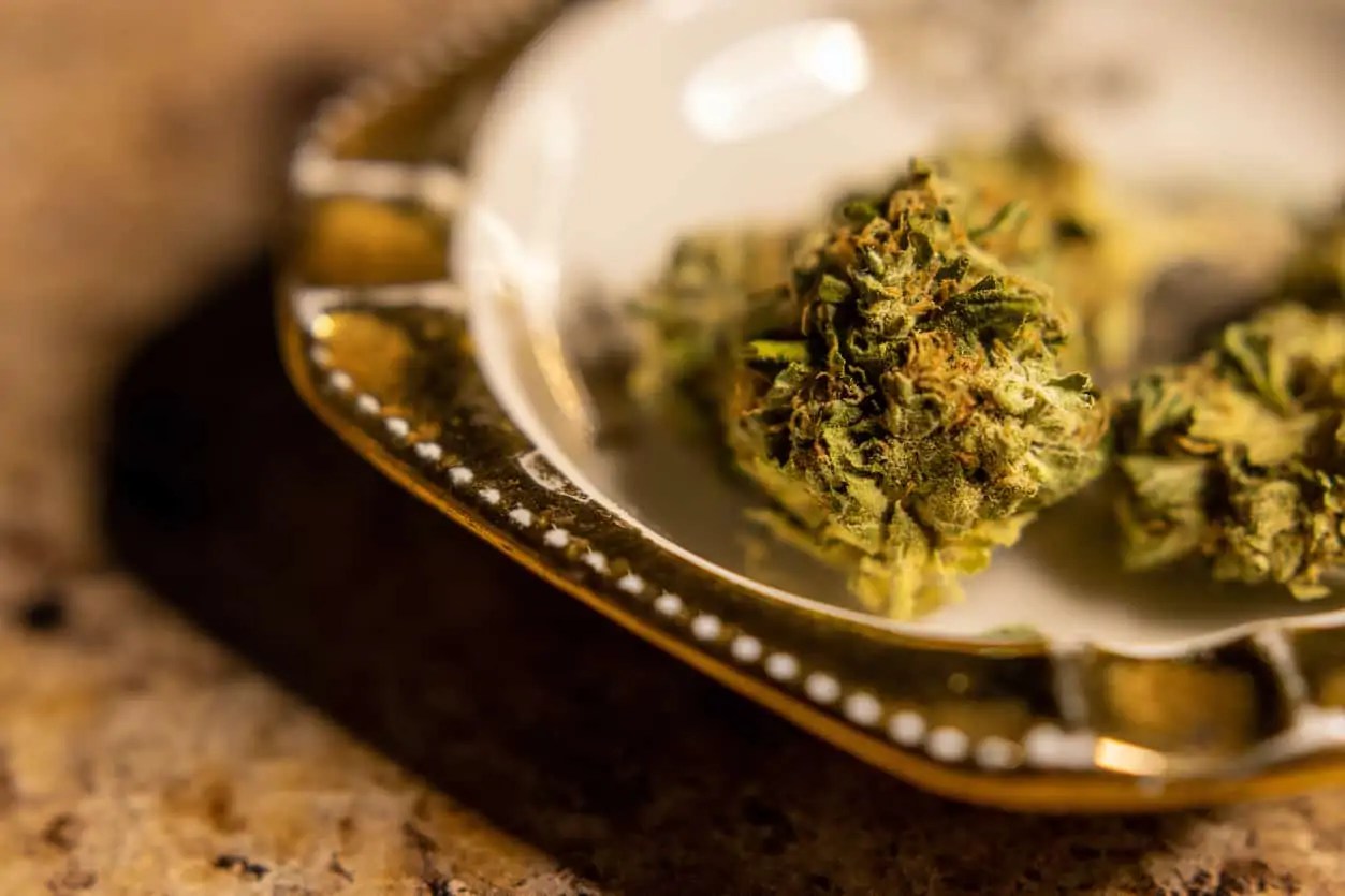 Gold Leaf Weed Strain Review & Information CTU