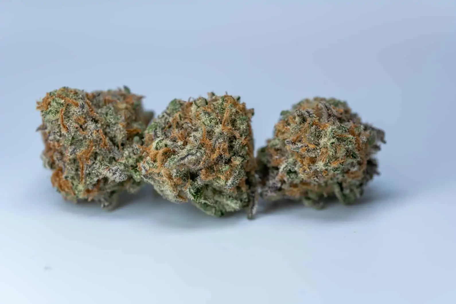 MAC weed strain review & information CTU