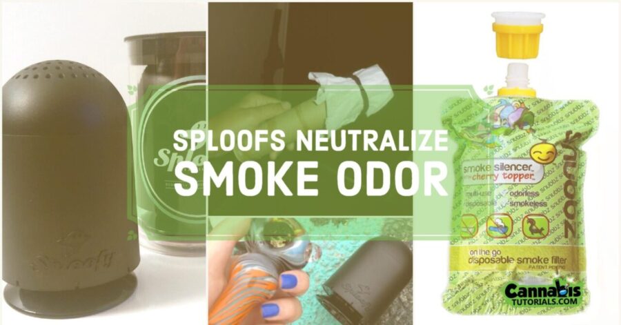 6 Great Sploofs You Can Use To Neutralize Your Dank Weed Smoke