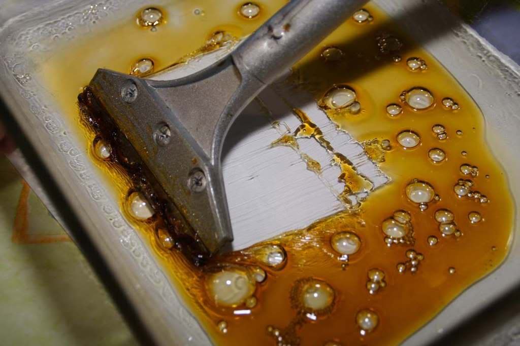 How to Vacuum Purge BHO The Best Vacuum Sealer for Weed