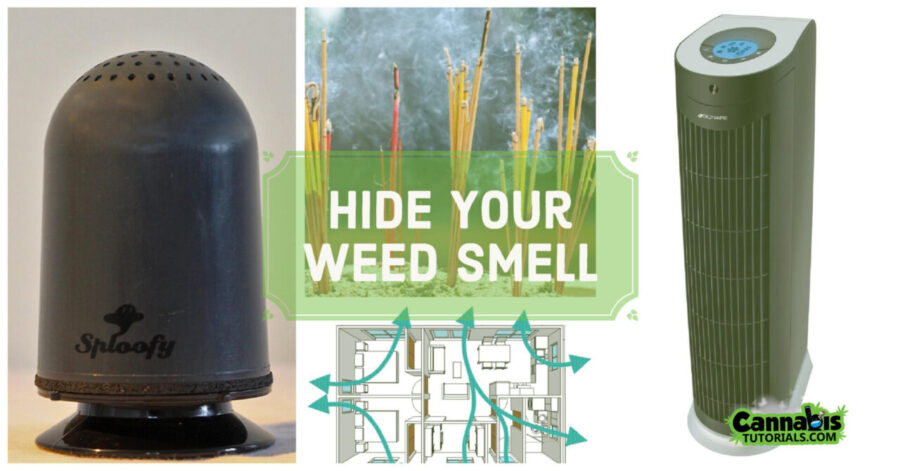 7 Ways to Hide the Smell of Weed Cannabis Tutorials