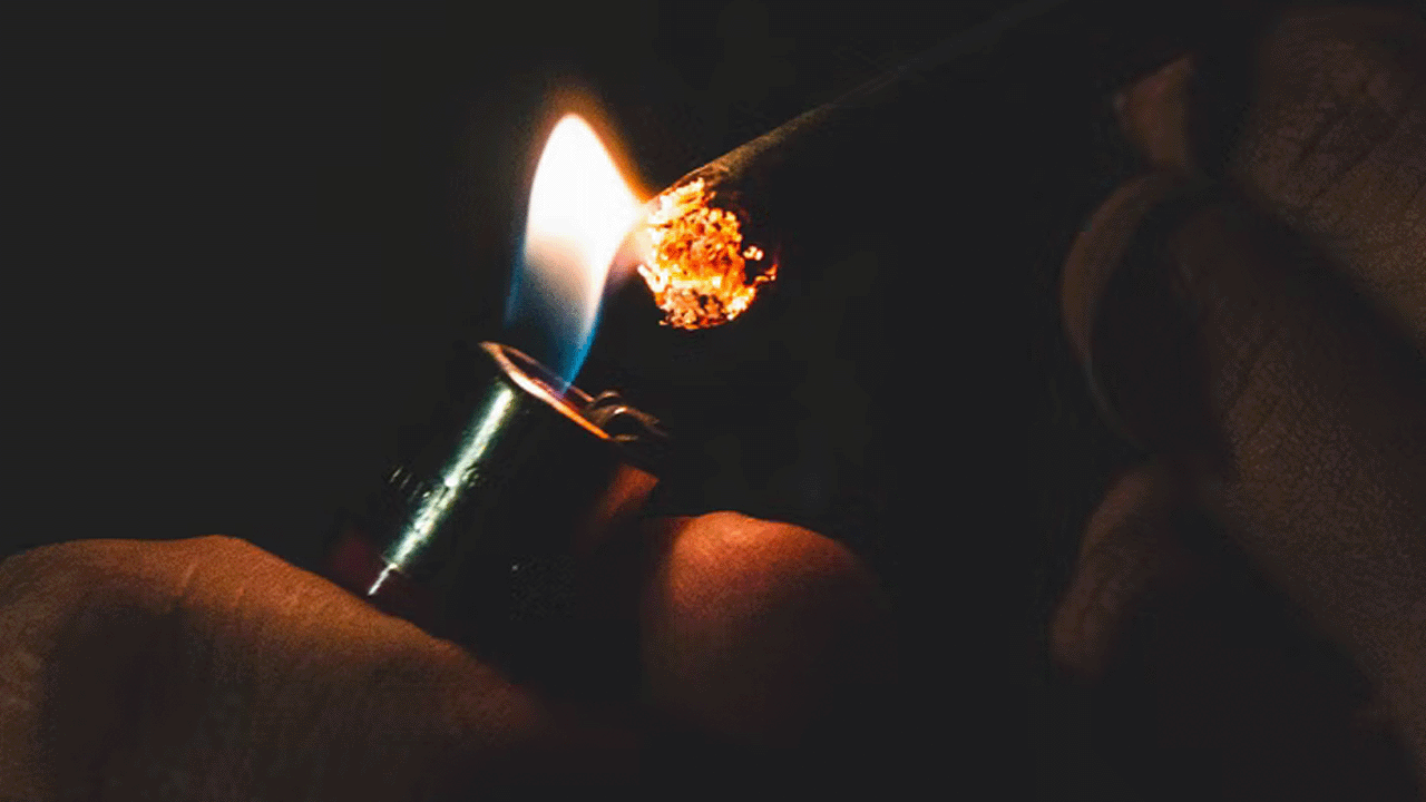 How To Roll a Blunt 4 Easy Steps A Beginners Guide