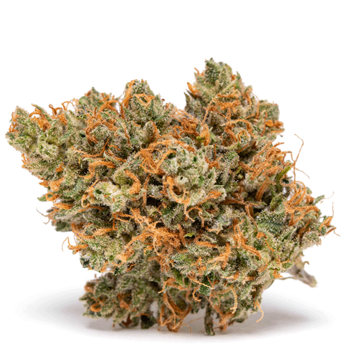 Weed Strains Fly Cannabis Tutorials