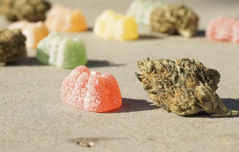 Best Weed Cooking Strains Cannabis Tutorials