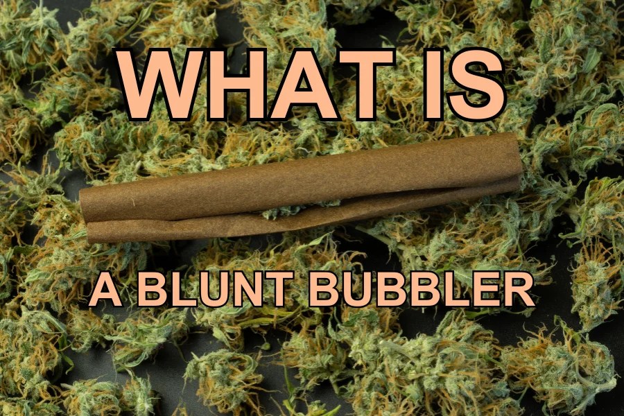 What's A Blunt Bubbler And How To Use It Canna Capable