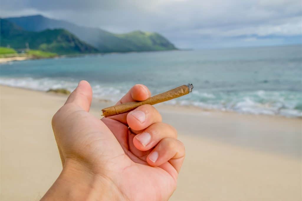 Weed Vacation Packages Travel in Stoned Style Cannadelics