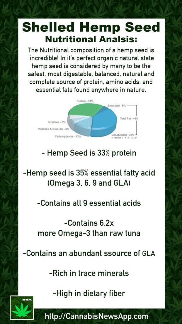 Cannabis seeds a source of incredible Protein & Nutrition!