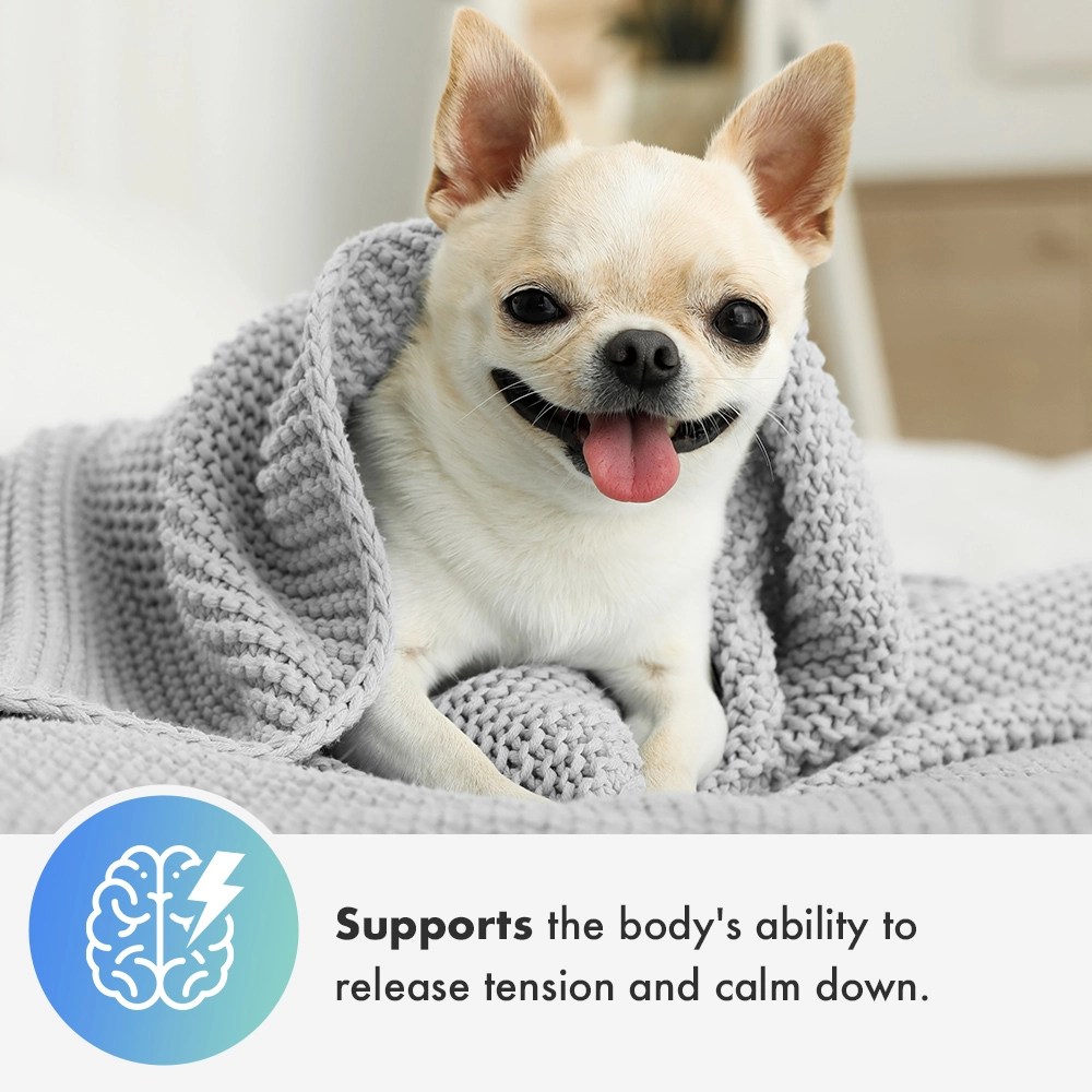 FREE Comfort Cuddler Puppy Heartbeat Pillow with Purchase of Bacon