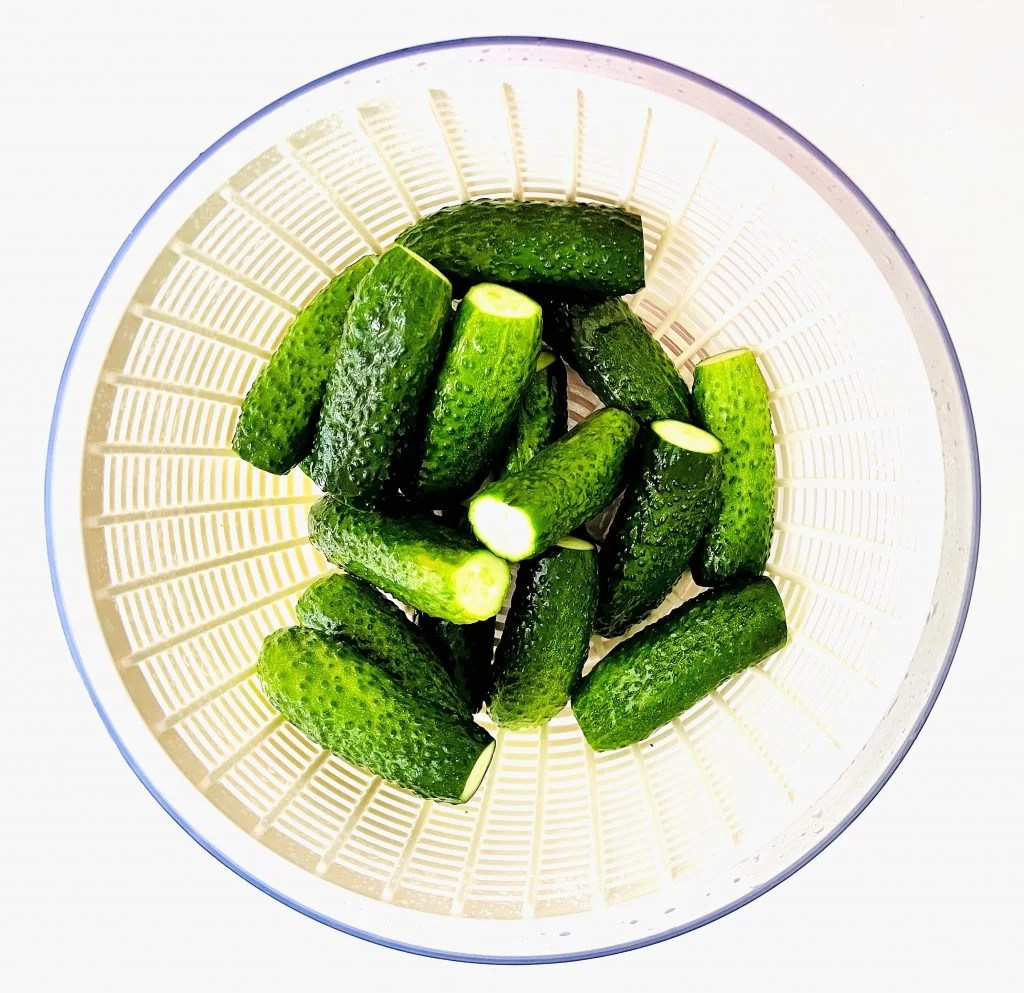 Simple Old World Style Pickled Dill Cucumbers Canning Recipe