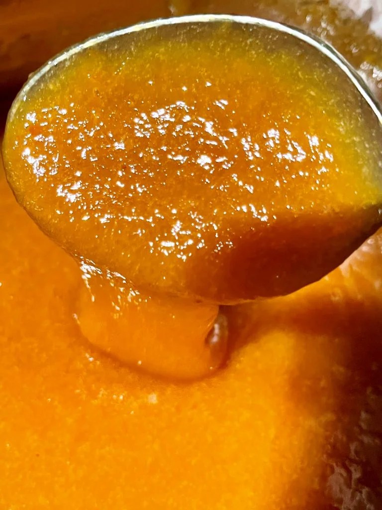 How To Make and Preserve Italian Style Orange Marmalade