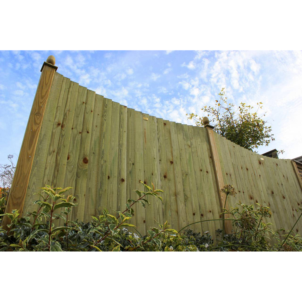 Featherboard Concave Fence Panels Cannock Gates