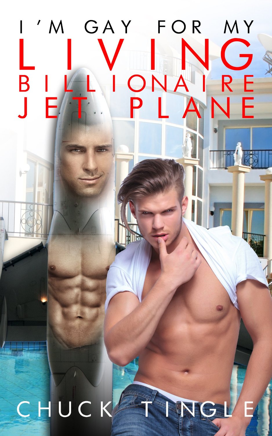 Who knew that there was a market for gay airplane erotica? – Cannonball