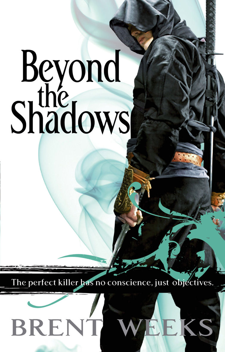 Alexis’s CBR4 Review 1 Beyond the Shadows, Brent Weeks