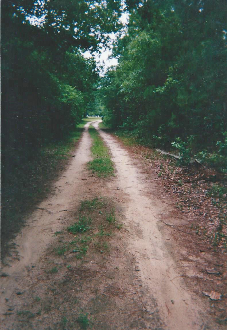 Cemetery New Hope Coward South Carolina pic 2