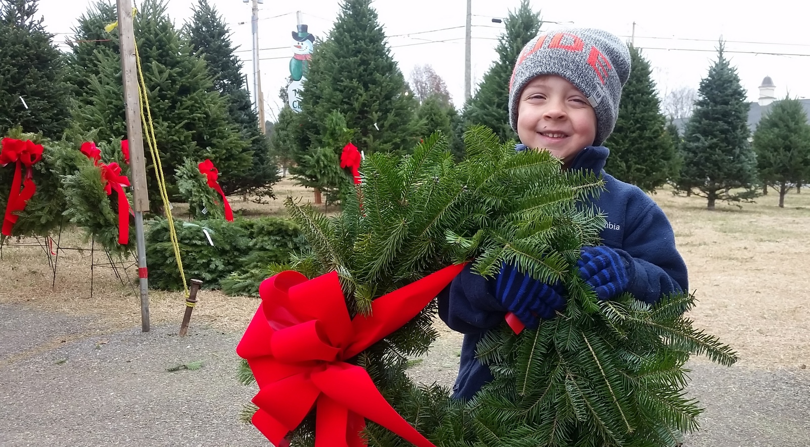 Dave's Maine Christmas Trees and Wreaths, Lynchburg, Virginia