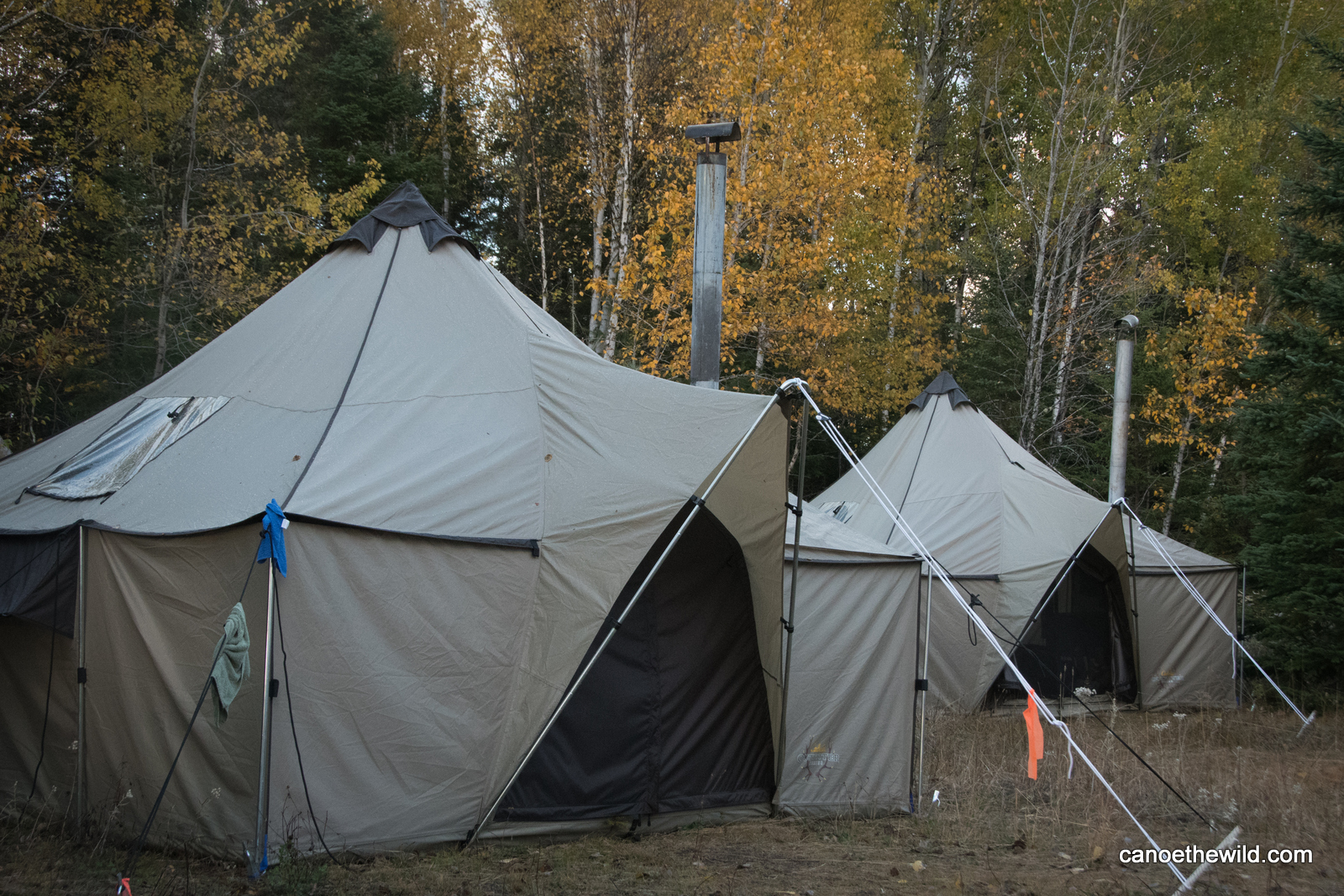 Maine moose camp private sleep tents Canoe the Wild