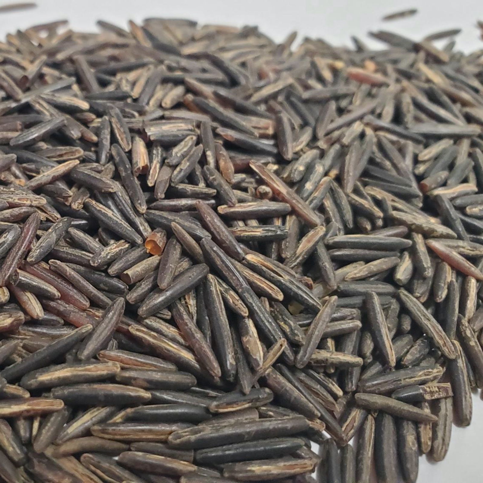 Wood Parched Cultivated Wild Rice Canoe Wild Rice