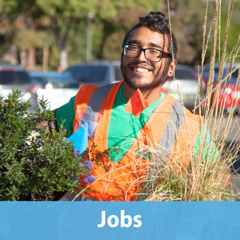 About Us Canopy Canopy