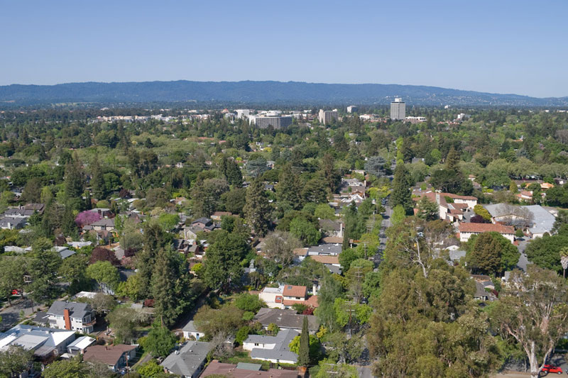 Urban Trees and Climate Change Canopy Canopy