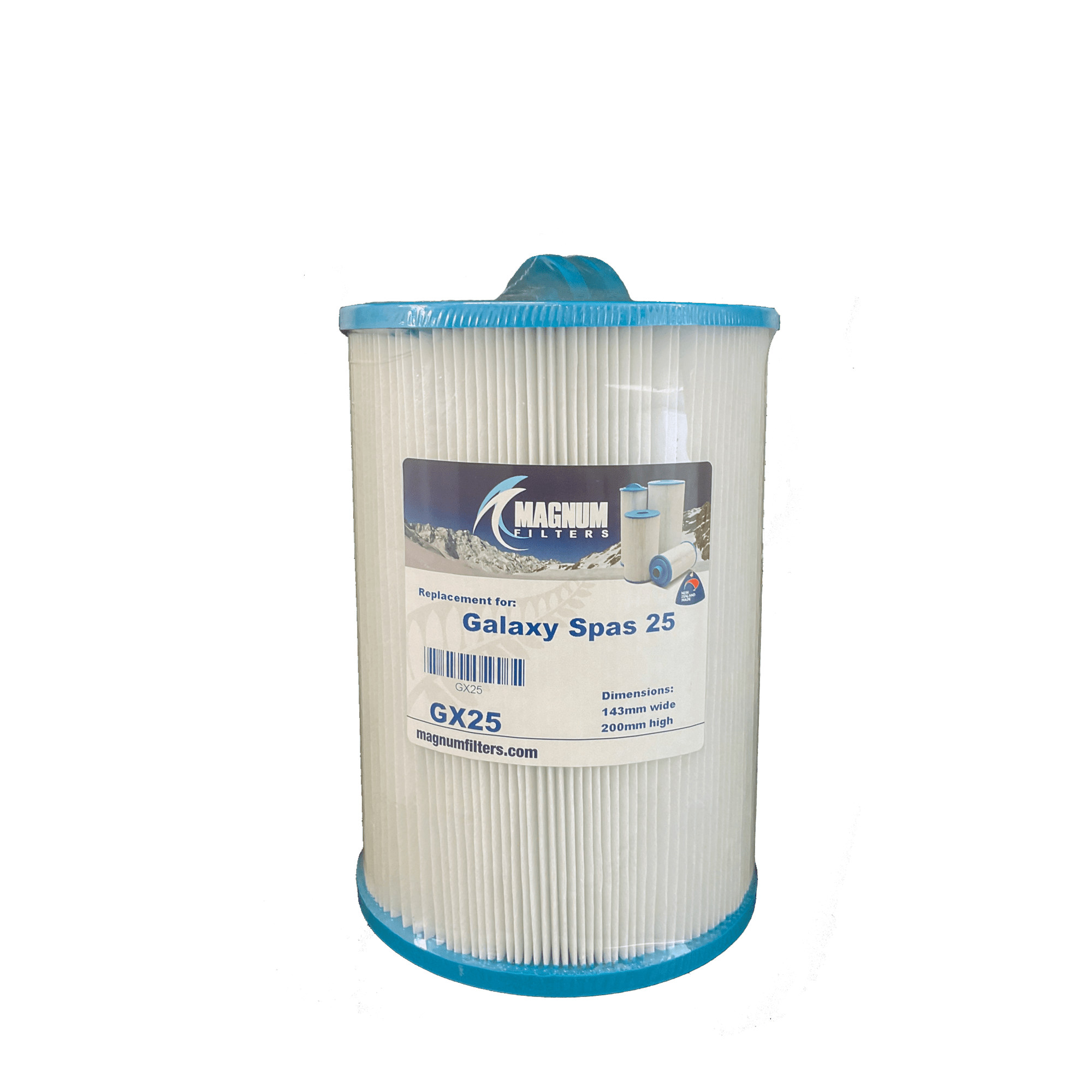 Galaxy Spas Filter (GX25) Canterbury Spa and Pool