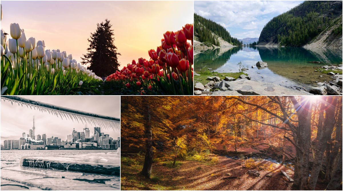 Canada’s Four Seasons in 5 Regions What You'll Need Cansumer