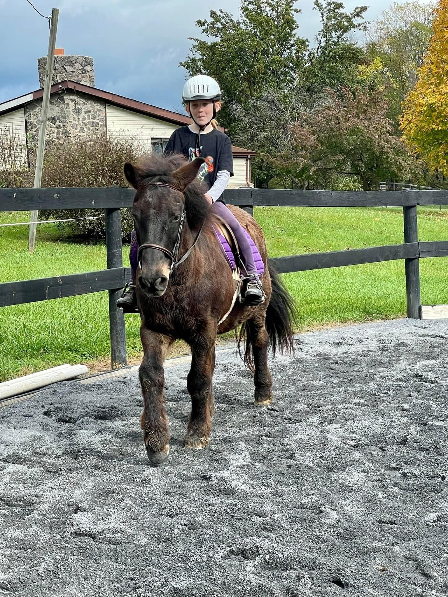 Horseback riding lessons near Charles Town, Clarke and Loudoun