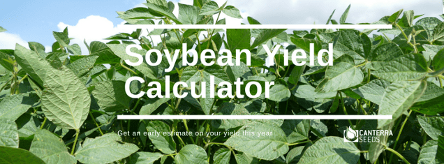 How to Estimate Your Soybean Yields CANTERRA SEEDS