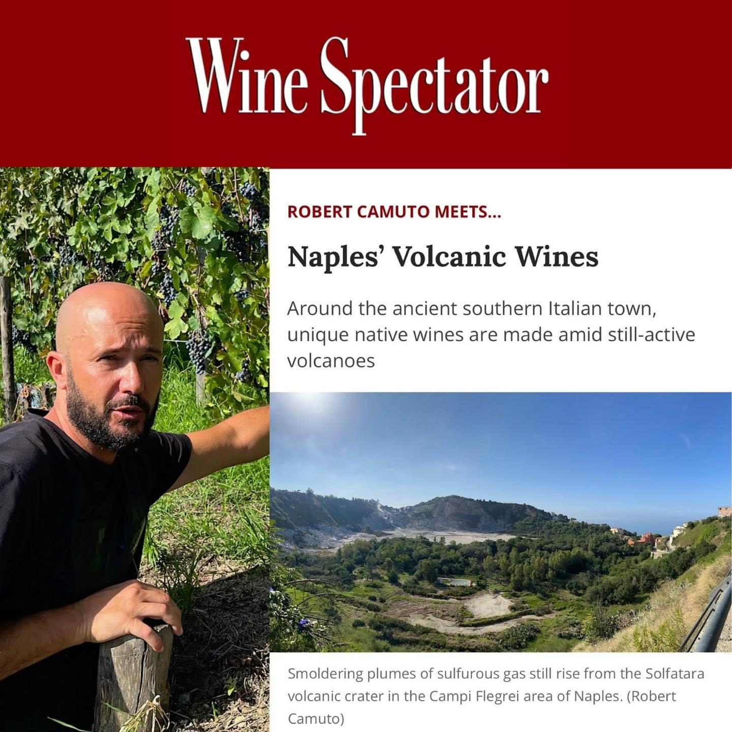 Naples’ Volcanic Wines Cantine Astroni Wines of Phlegraean Fields