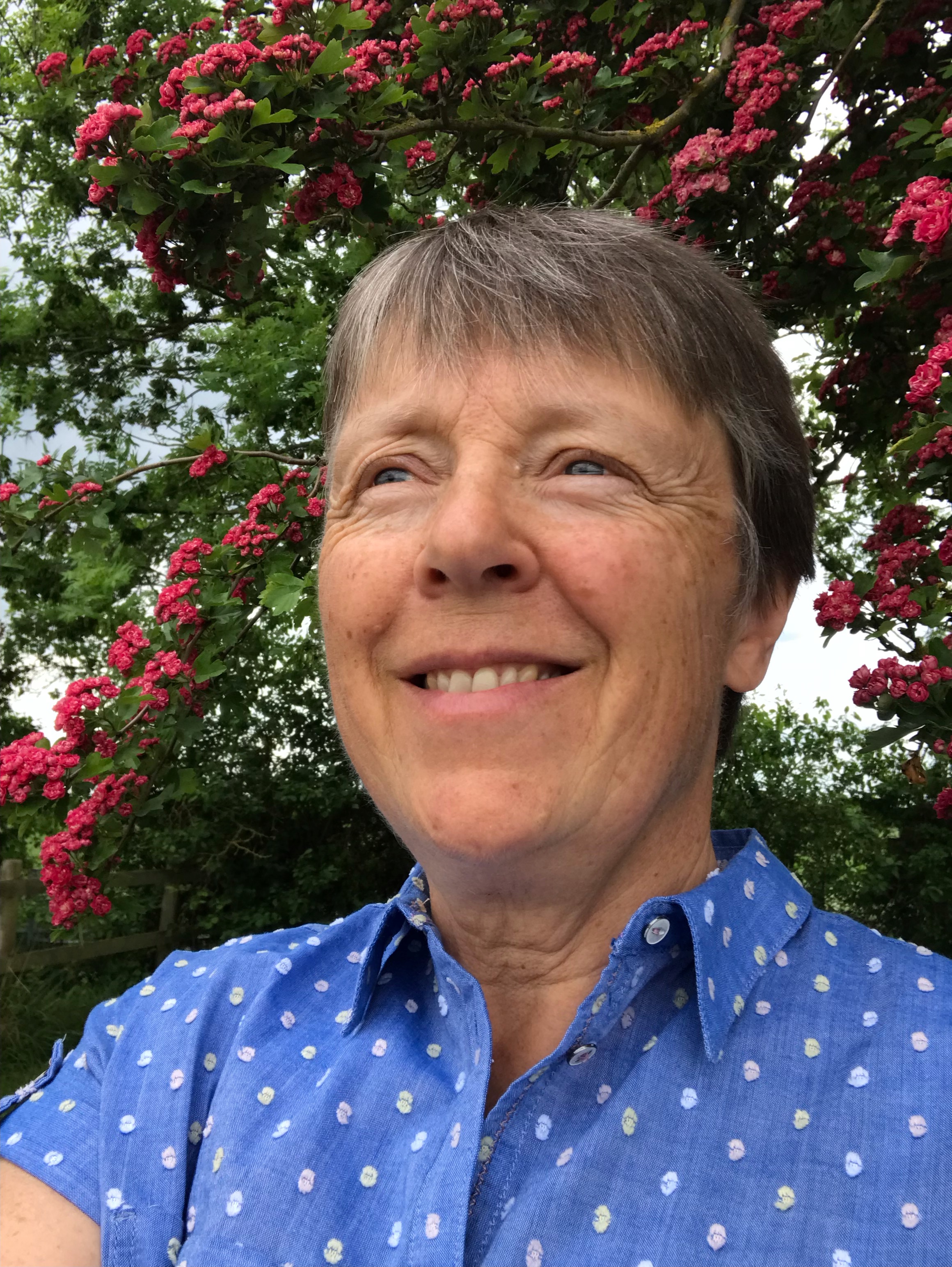 Carol Atkinson Nutrition Good nutrition is the cornerstone of good