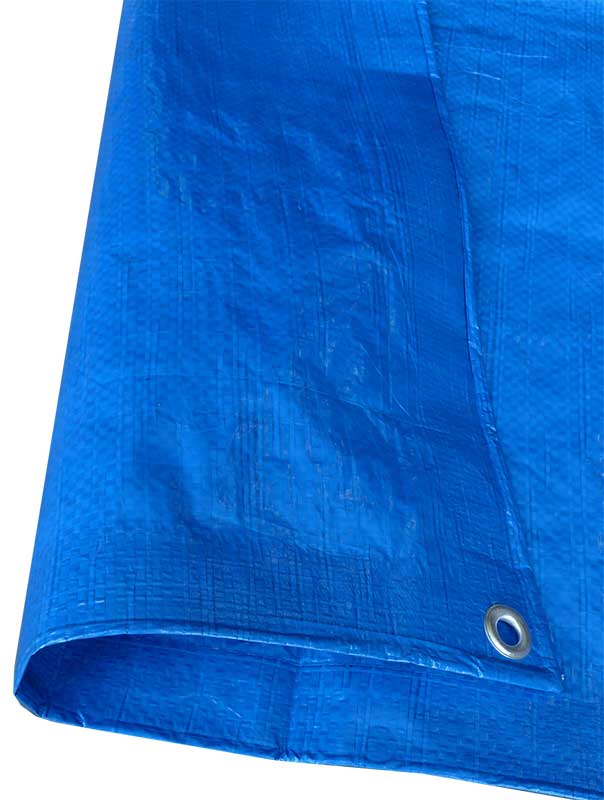 60x100 Blue Utility Tarp TB60100R