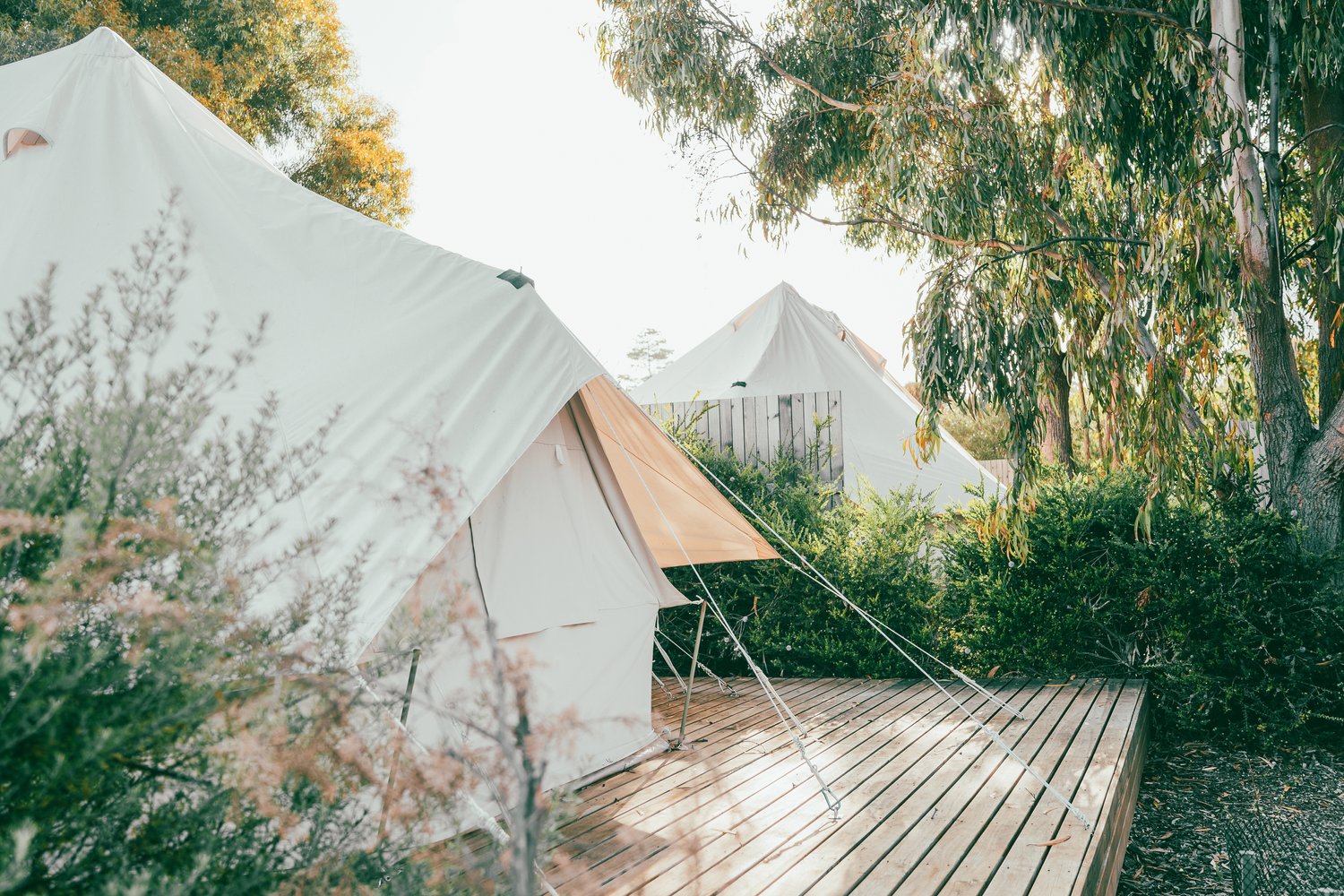 Scamander Sanctuary Holiday Park Canvas & Tent