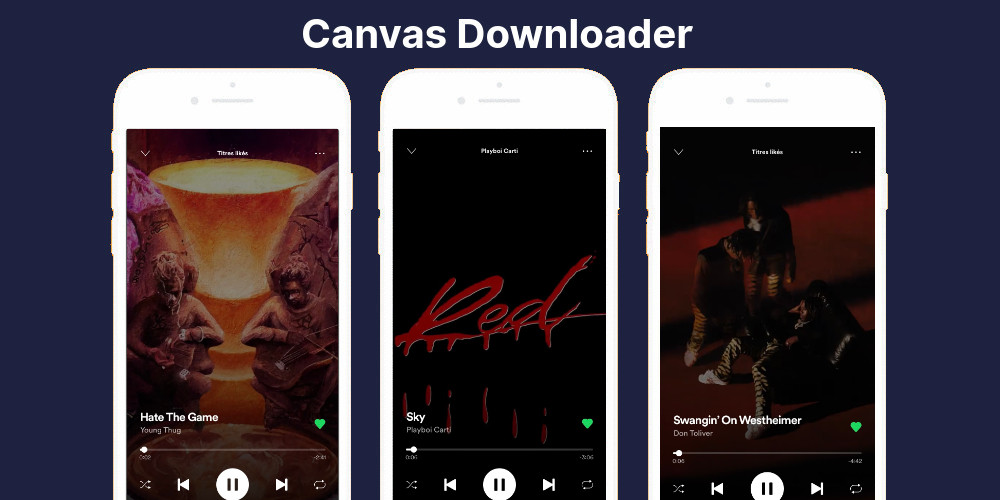 Váleria Almeida Spotify Canvas · Canvas Downloader for Spotify