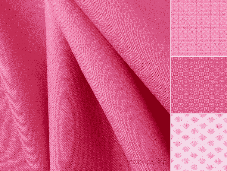 Fuchsia Color The Most Provocative Canvas ETC.