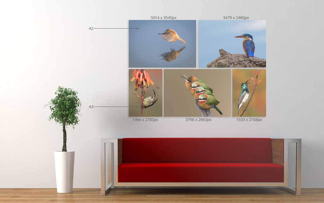 Canvas Print Sizes Canvas Print Co.