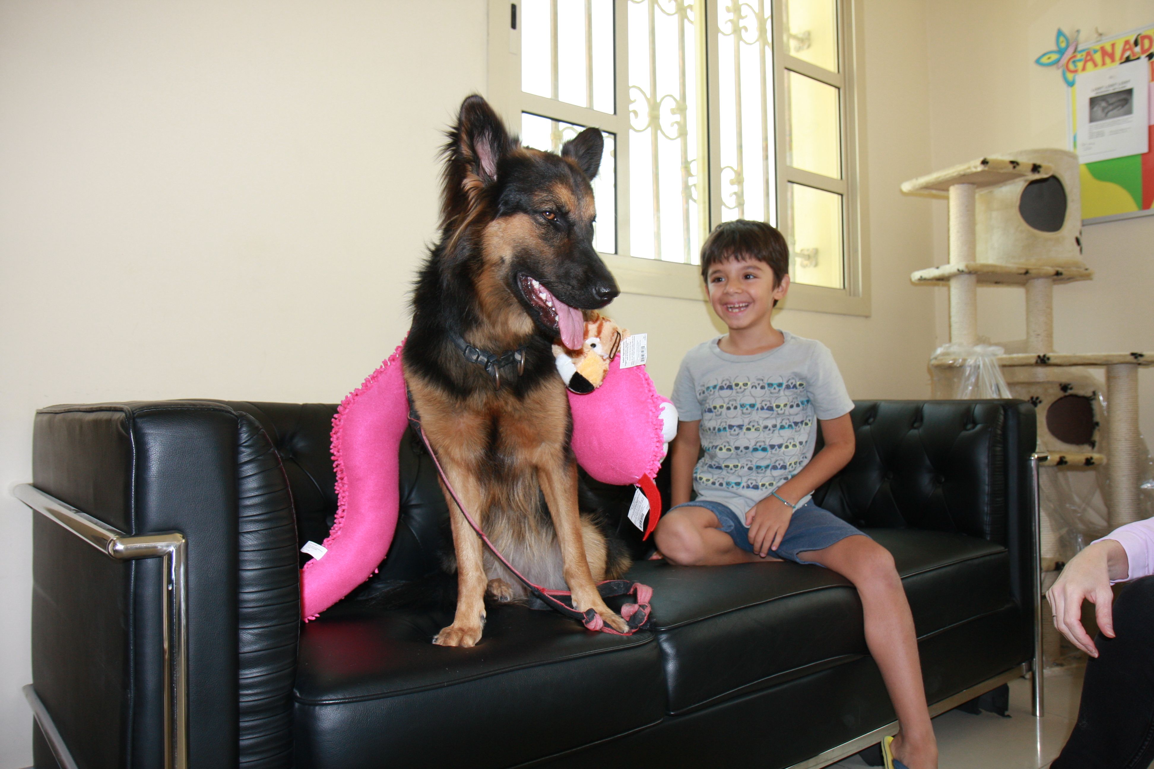 About Our veterinary hospital in Doha, Qatar Canadian Veterinary