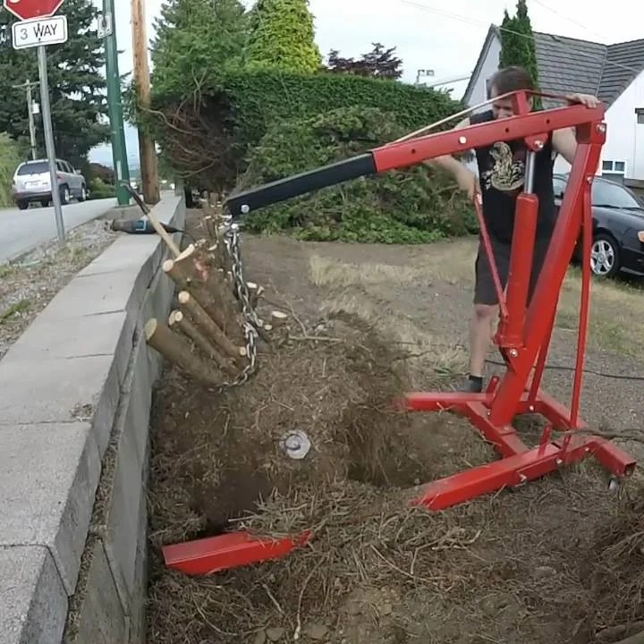 Homemade tree stump removal in action Canvids
