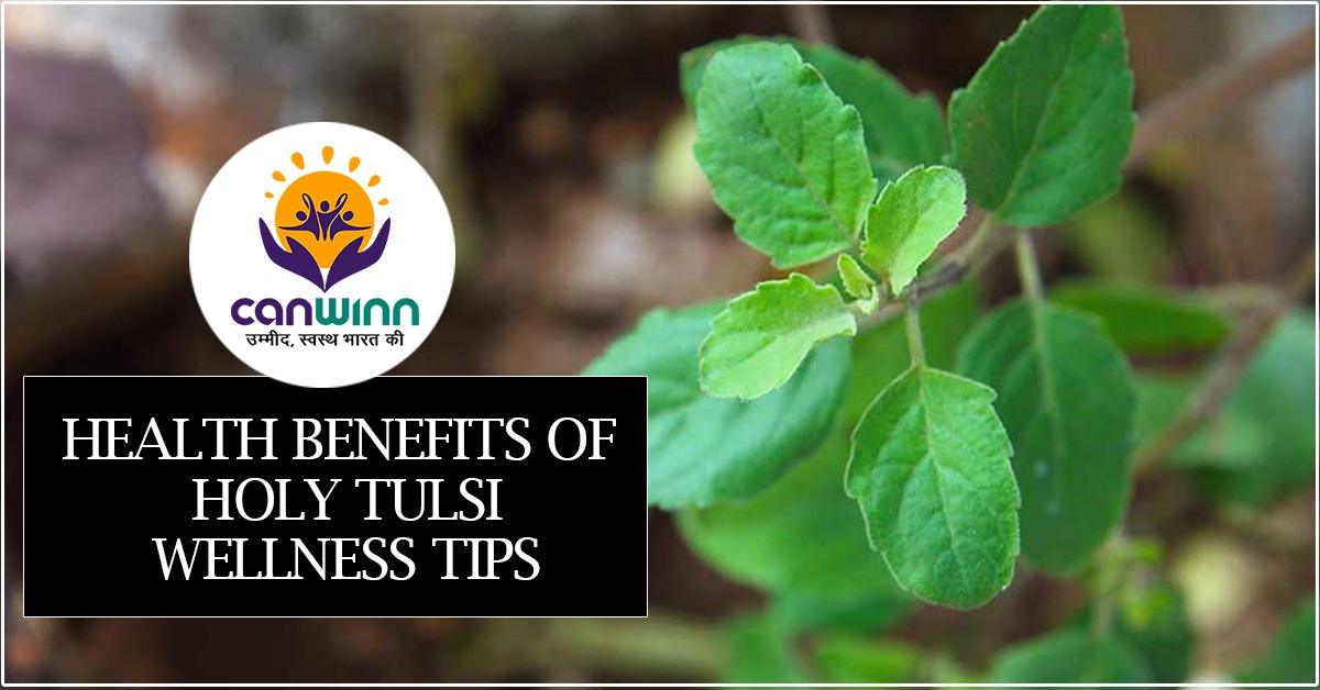 Health Benefits of holy tulsi Wellness tips Canwinn