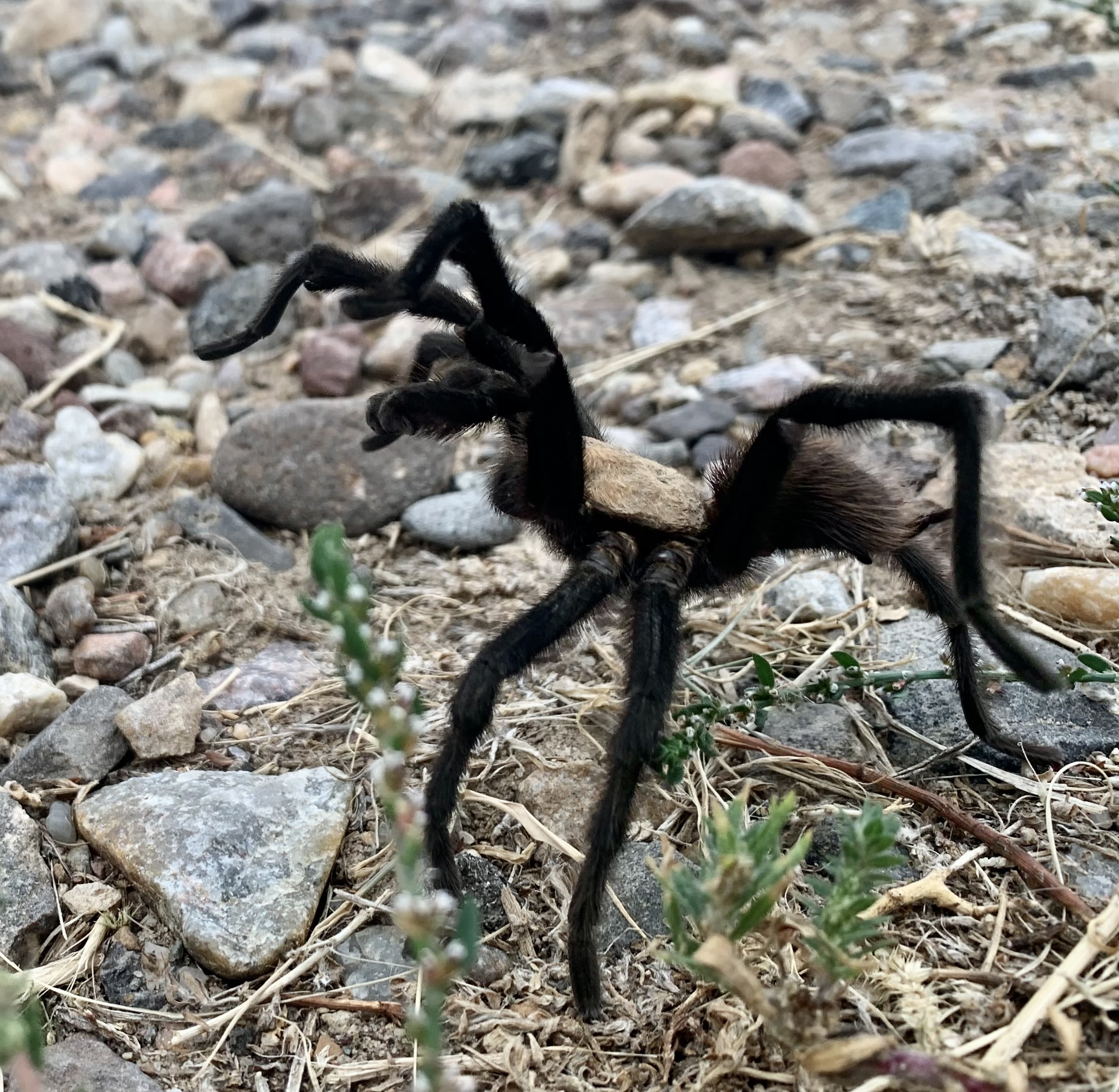 Blog Canyon Journeys