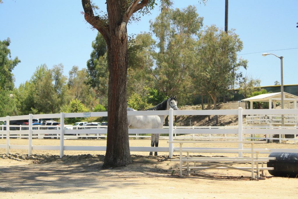 Equestrian Center Canyon Lake California