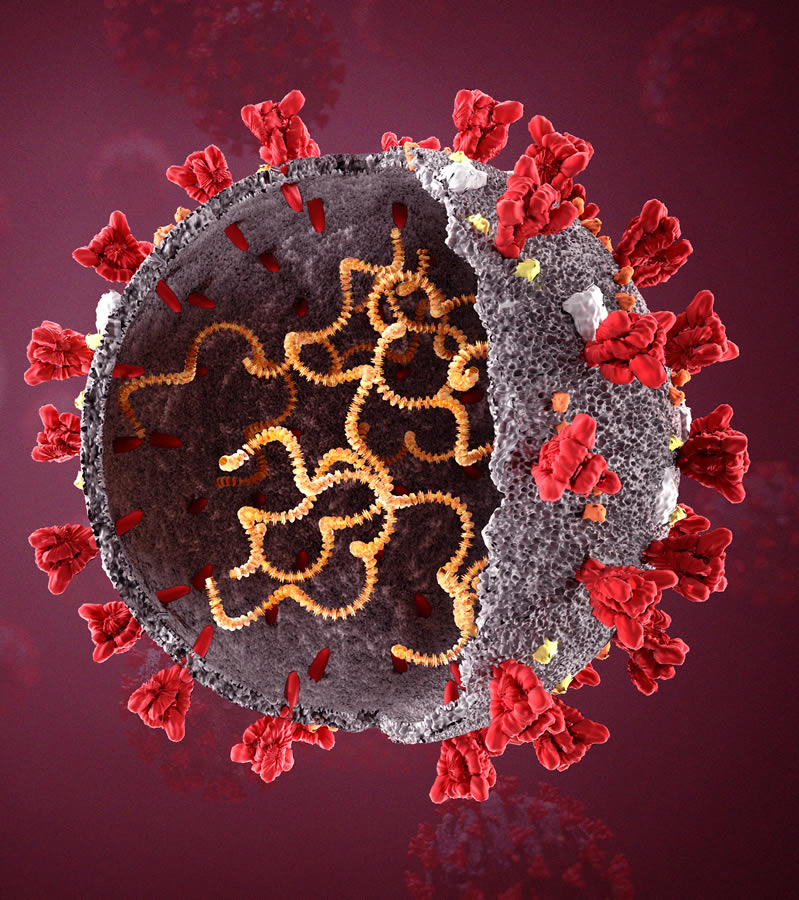 60 More Contagious Delta Variant Now in Arizona Canyonlands Healthcare