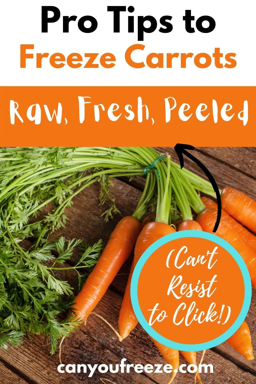 Can You Freeze Carrots? Yes you can, but there is a method!