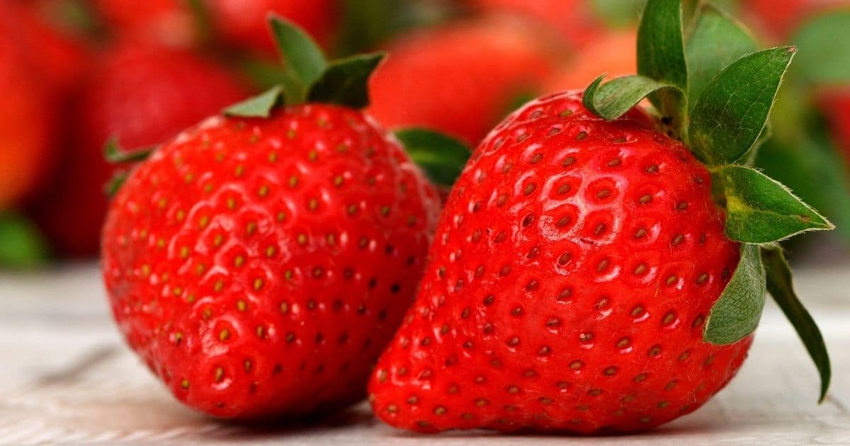 Can You Freeze Strawberries? Yes as Long as it's Done Properly