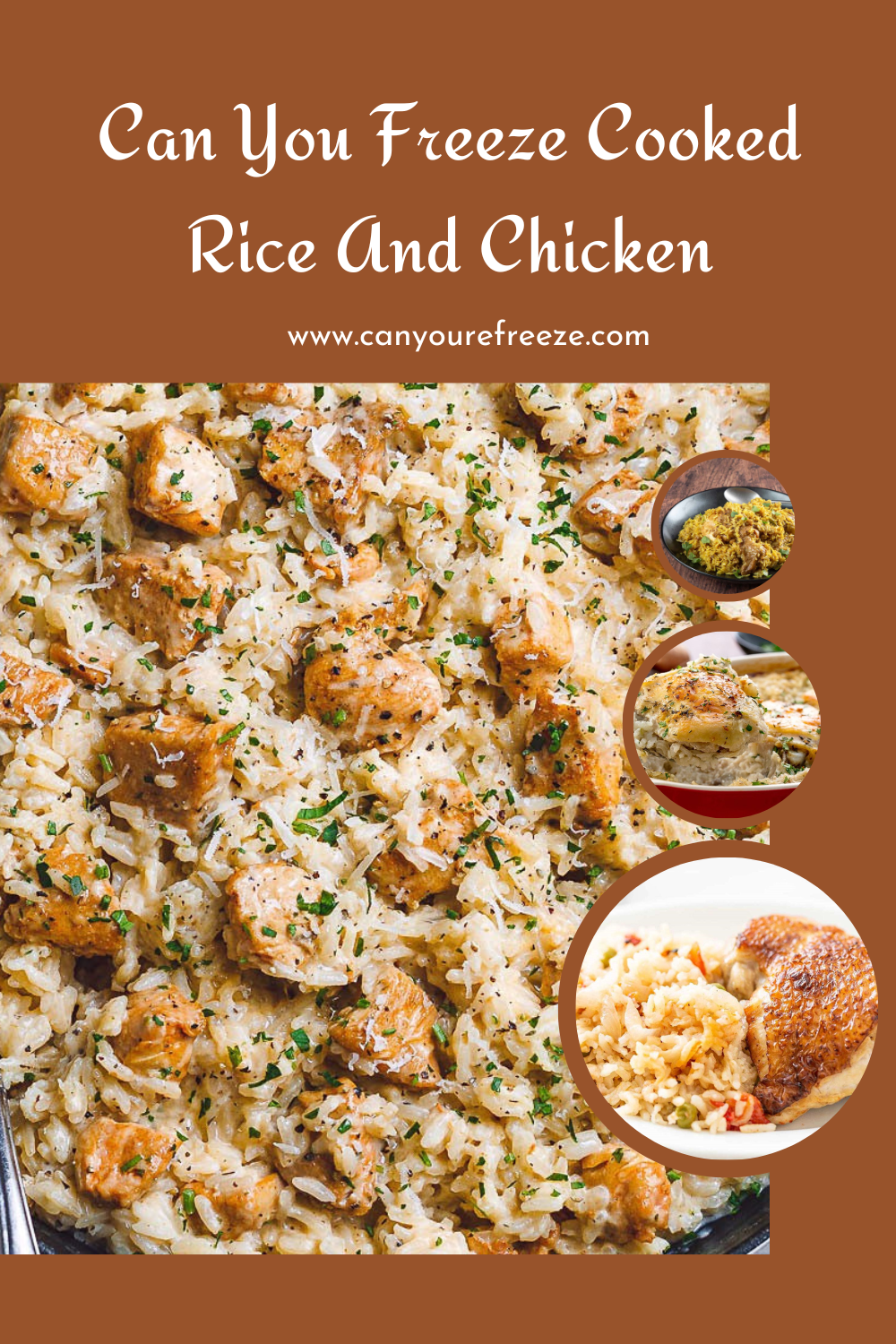 Can You Freeze Cooked Rice And Chicken? Does It Freeze Well? Can You