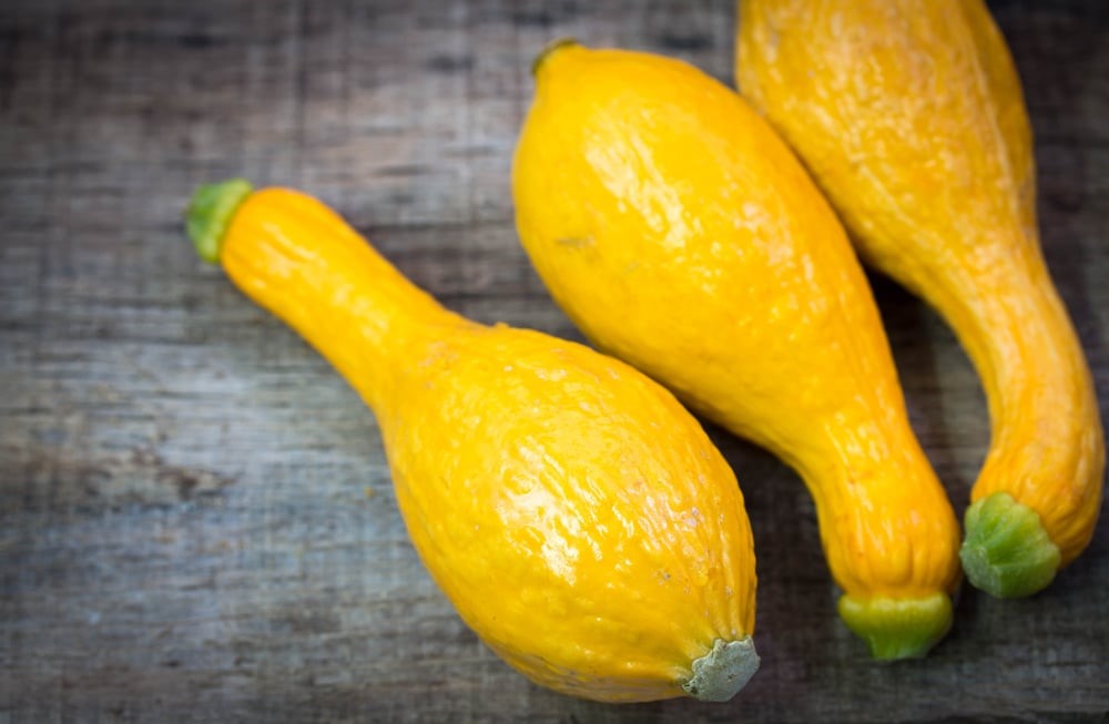 Can You Freeze Summer Squash Without Blanching? Can You Refreeze