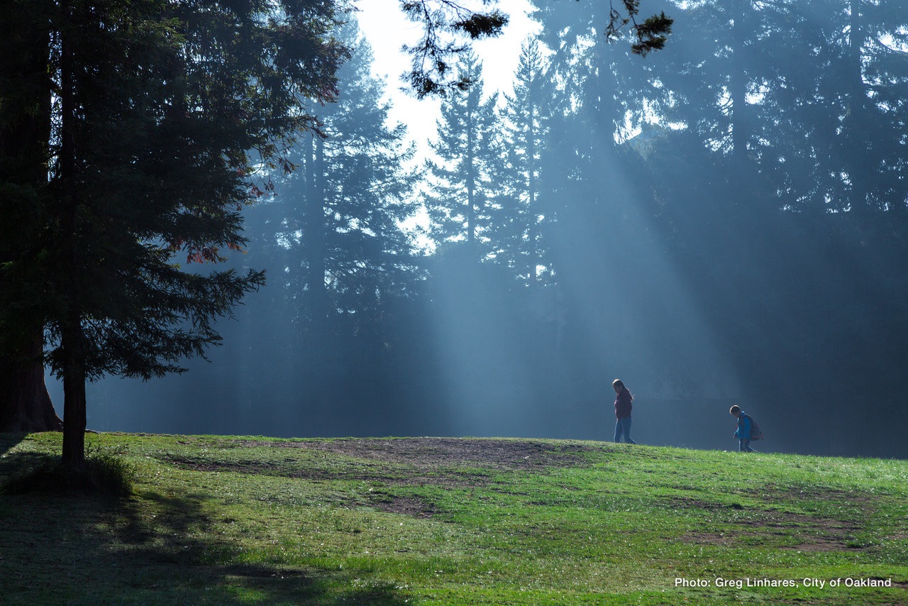 City of Oakland Park and Landscape Maintenance