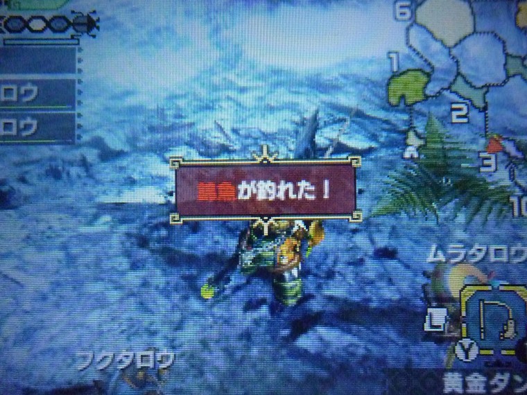 【MHX/モンハンクロス】錦魚納品クエスト！黄金ダンゴを忘れずに♪『ムラタの狩り手帖』 CAP GAMES